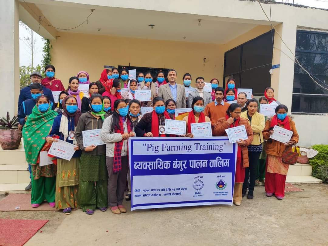 व्यावसायिक बंगुर पालन सम्बन्धी तालिम लम्कीमा सम्पन्न