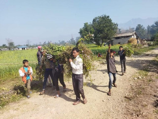 सरसफाईमा जुटे सक्रिय पत्रकार विक