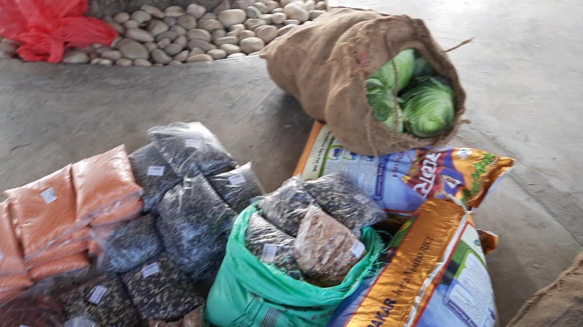 VideoCapture_20230102-175216.jpg