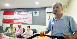 पार्टीको गलत कदम विरुद्ध बोल्न सक्नुपर्छ : उपसभापति बडुवाल