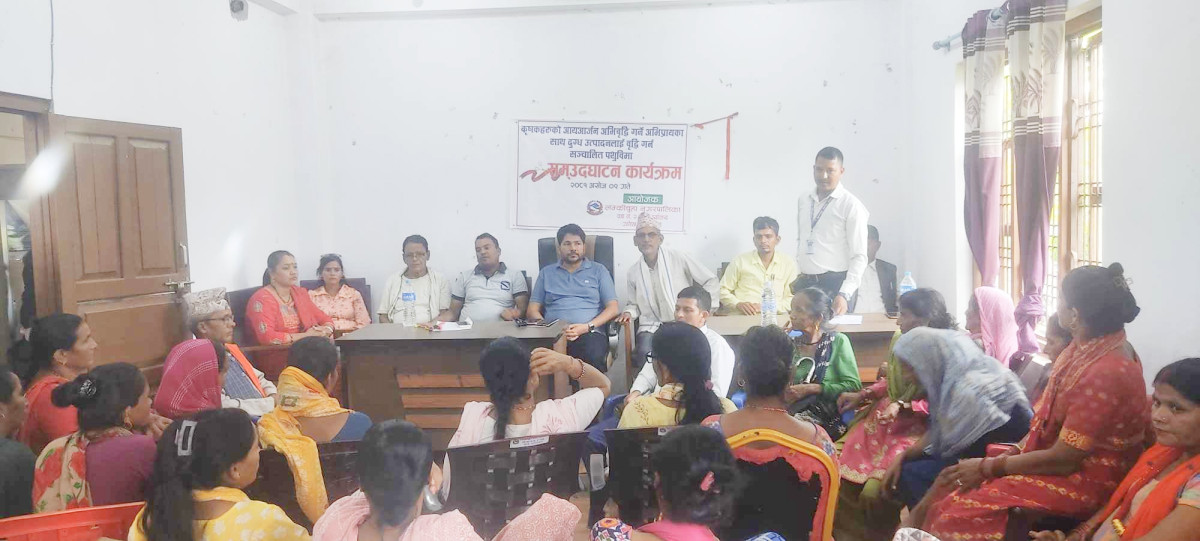 लम्कीचुहा वडा नं २ ले पशुको निःशुल्क बीमा गरेपछि किसान हर्षित