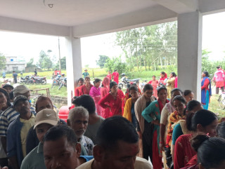 गौरीगङ्गा  नगरपालिकाले हिउँदे घाँसको बीउ नि:शुल्क वितरण